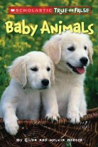 Baby animals 