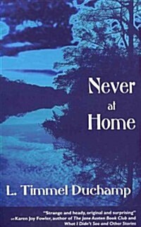 Never at Home (Paperback)
