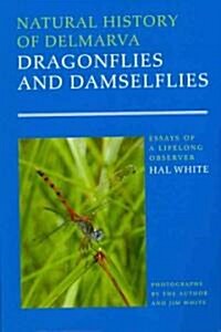 Natural History of Delmarva Dragonflies and Damselflies: Essays of a Lifelong Observer (Paperback)