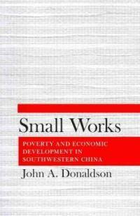 Small works : poverty and economic development in southwestern China
