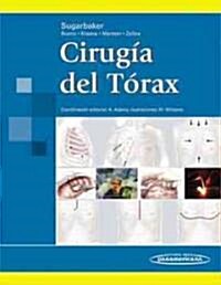 Cirugia Del Torax / Thoracic Surgery (Hardcover)