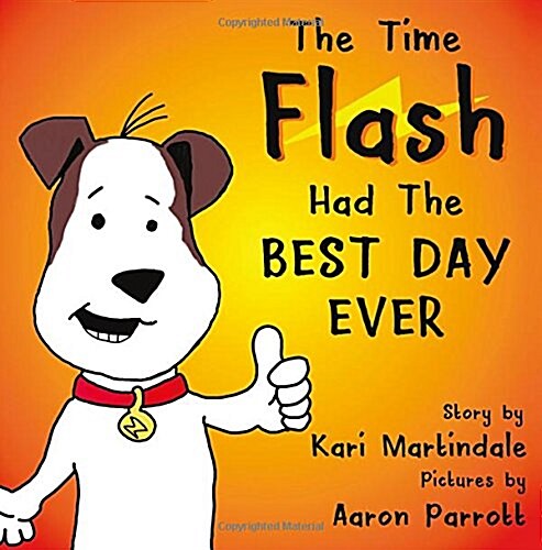 The Time Flash Had the Best Day Ever (Paperback)
