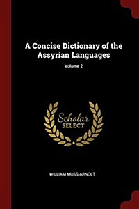 A Concise Dictionary of the Assyrian Languages; Volume 2 (Paperback)