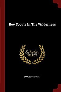 Boy Scouts in the Wilderness (Paperback)