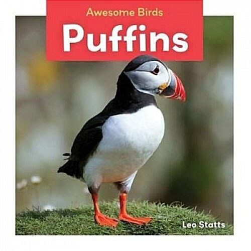 Puffins (Library Binding)