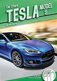 Tesla Model S (Library Binding)