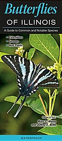 Butterflies of Illinois: A Guide to Common and Notable Species (Other)