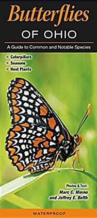 Butterflies of Ohio: A Guide to Common and Notable Species (Other)