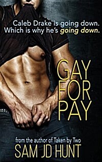 Gay for Pay (Paperback)