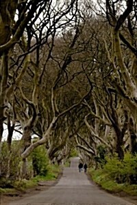 A View of the Dark Hedges Ireland Journal: 150 Page Lined Notebook/Diary (Paperback)