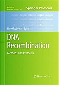 DNA Recombination: Methods and Protocols (Paperback, Softcover Repri)