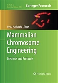 Mammalian Chromosome Engineering: Methods and Protocols (Paperback, Softcover Repri)