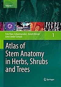 Atlas of Stem Anatomy in Herbs, Shrubs and Trees, Volume 1 (Paperback, Softcover Repri)