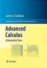 Advanced Calculus: A Geometric View (Paperback, Softcover Repri)