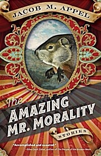 The Amazing Mr. Morality: Stories (Paperback)