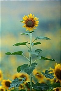 Sunflower Notebook (Paperback, NTB)