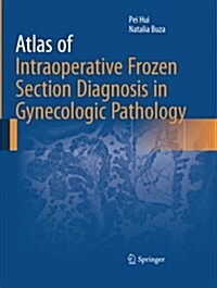 Atlas of Intraoperative Frozen Section Diagnosis in Gynecologic Pathology (Paperback, Softcover Repri)