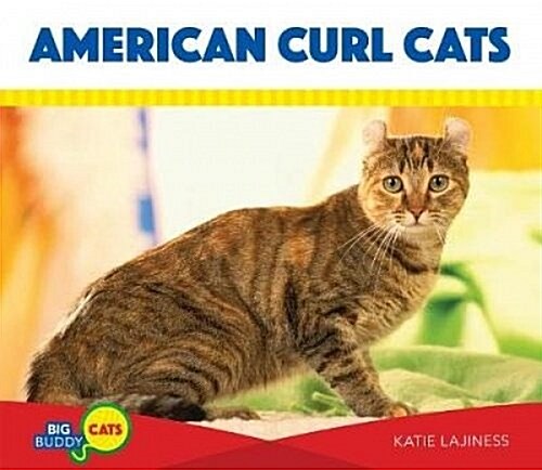 American Curl Cats (Library Binding)