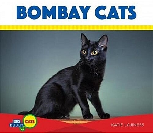 Bombay Cats (Library Binding)