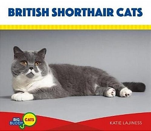 British Shorthair Cats (Library Binding)