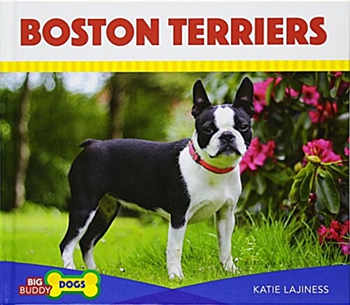 Boston Terriers (Library Binding)