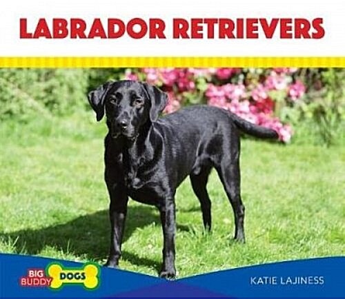 Labrador Retrievers (Library Binding)