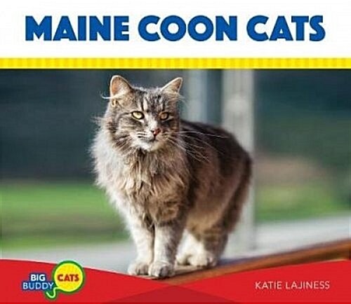 Maine Coon Cats (Library Binding)