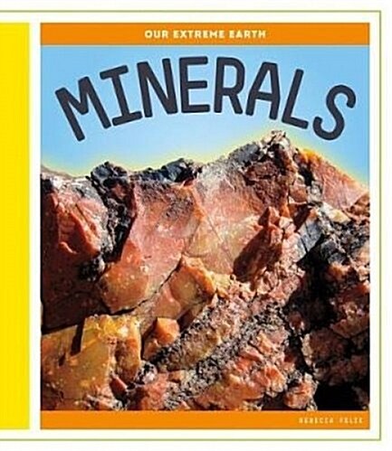 Minerals (Library Binding)