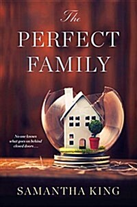 The Perfect Family (Paperback)