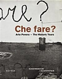 Che Fare?: Arte Povera: The Historic Years (Hardcover)