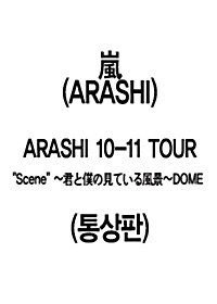 Arashi - Arashi 10-11 Tour“Scene”～君と僕の見ている風景～ Dome (통상판)(2disc)