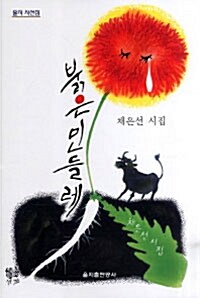 붉은 민들레