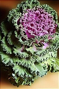 Decorative Cabbage Gardening Journal: 150 Page Lined Notebook/Diary (Paperback)