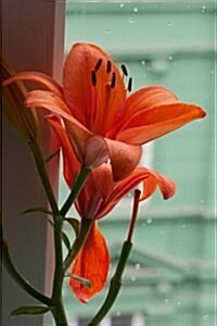Awesome Lily in the Window Flower Journal: 150 Page Lined Notebook/Diary (Paperback)