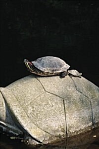 Turtle Notebook (Paperback)