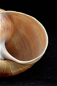 Snail Shell Notebook (Paperback)