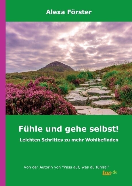 F?le und gehe selbst!: Leichten Schrittes zu mehr Wohlbefinden (Hardcover)