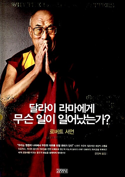 [중고] 달라이 라마에게 무슨 일이 일어났는가
