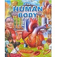 Human Body (Hardcover)