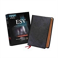 ESV Clarion Reference Bible, Black Edge-lined Goatskin Leather, ES486:XE Black Goatskin Leather (Leather Binding)