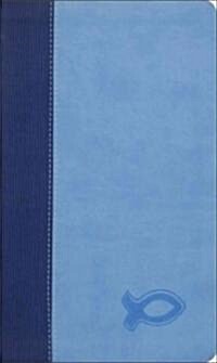 Study Bible for Boys-KJV (Imitation Leather)