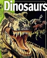 [중고] Dinosaurs in Siders (Paperback)