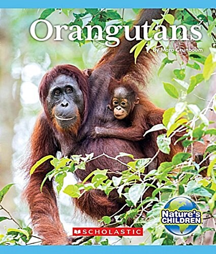 Orangutans (Natures Children) (Hardcover, Library)