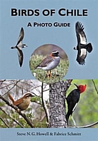 Birds of Chile: A Photo Guide (Paperback)