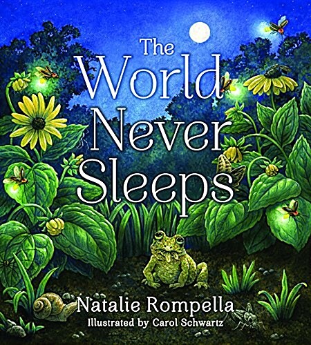 The World Never Sleeps (Hardcover)