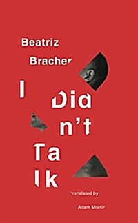 I Didnt Talk (Paperback)