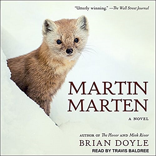 Martin Marten (Audio CD, Unabridged)