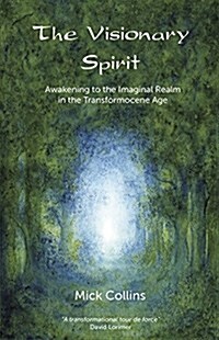 The Visionary Spirit : Awakening to the Imaginal Realm in the Transformocene Age (Paperback)