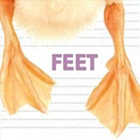 Feet (Board Books)