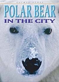 Why Dont Polar Bears Freeze? (Paperback)